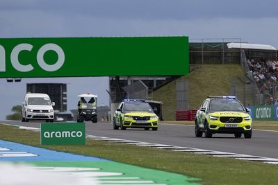 F1 CEO Domenicali slams British GP climate protesters