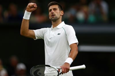 Djokovic in 13th Wimbledon quarter-final as Federer eyes 'one more time'