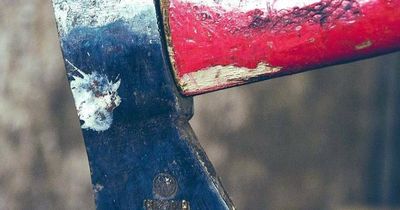 'Dog drama' led to East Maitland tomahawk attack