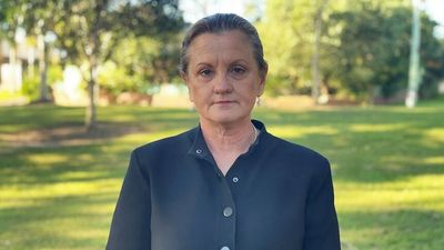 Redland City Mayor Karen Williams under growing pressure to resign after drink-driving charge