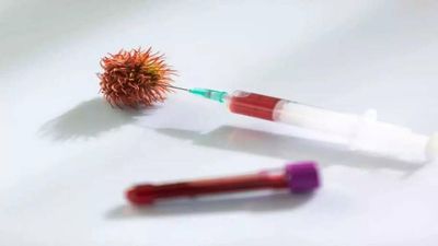 Sales of Covid self-test kits rise, but Food and Drugs Administration says not enough manpower to track results