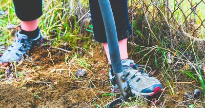 Soil pollution could raise risk of heart disease among gardeners, study suggests