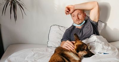 Covid patients at increased risk of developing brain disease, warns new study