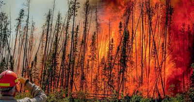 'We are really running out of time' warns scientist as Swansea University study says wildfires danger is rising