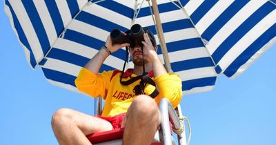 Brave lifeguard punches away shark as it attacks him during training exercise