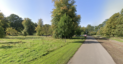 Glasgow park to get flood prevention work as area turns into "mud bath"
