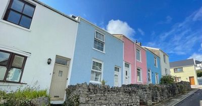 Two bed cottage for sale on a colourful hidden street in Mumbles
