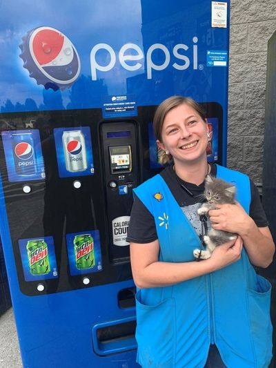 Kitten that got trapped in vending machine named ‘Pepsi’ by firefighters: ‘Wiggly and in good spirits’