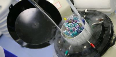 Eggs and sperm can now be stored for up to 55 years – here’s what that means for donors and people seeking fertility treatment