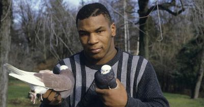 Boxing legend Mike Tyson had first fight after neighbour killed his pet pigeon