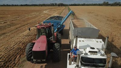 Strong outlook for Australian agriculture