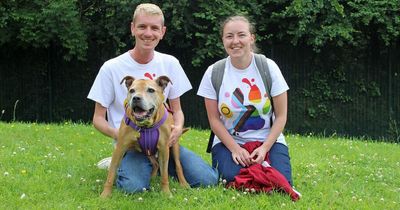 'Sweetest girl who will steal your heart' looking for retirement home