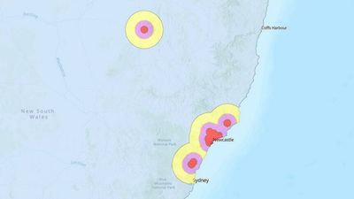 Bee parasite varroa mite detected in Narrabri, new emergency zone declared