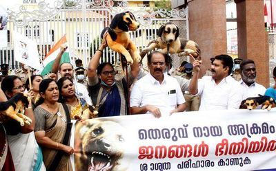 Stray dog menace in Thrissur: Congress takes out protest