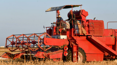 Tunisia Struggles to Grow More Wheat as Ukraine War Bites