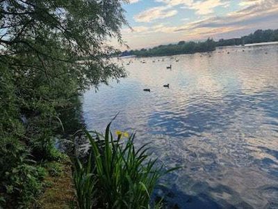 Fairlop Waters: Body found in search for boy, 17, who went missing in east London lake