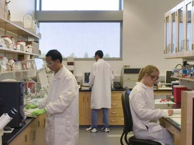 BioTech incubator lands $3m in CSIRO support
