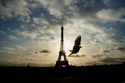 Fears €60m repaint won’t save ‘rusting’ Eiffel Tower