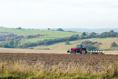 Tonnes of food going unpicked on British farms ‘due to foreign labour shortage’