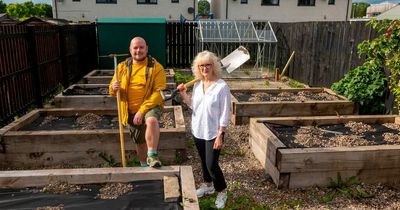 Volunteers appeal to builders for help to reopen Perth allotment to the public