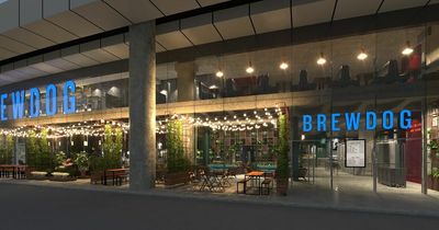 BrewDog preparing to open biggest ever bar with podcast studio and bowling alley