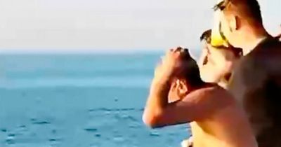 Double deadly Egypt shark attack could have been carried out by same killer beast