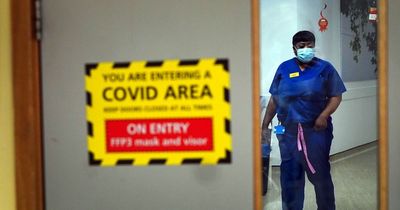 More than 20,000 have died from Covid in 2022 with summer deaths higher than last year