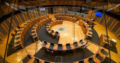 Plans to dramatically increase the number of Senedd members branded 'absolutely disgraceful decision'