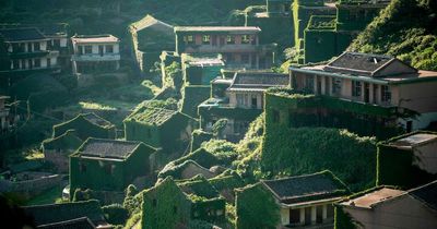 Life in camouflaged 'ghost town' with hidden homes and residents at risk of starvation