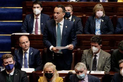 Ireland should set aside part of 2022 budget surplus - deputy PM