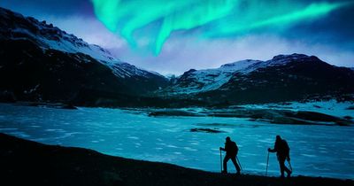 USPCA heading to Iceland to raise funds for animal welfare work
