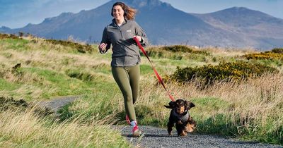 Northern Ireland's 274 dog friendly walking trails waiting to be explored