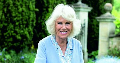 Hidden details in Kate Middleton's portrait of Camilla - fitness device and top passion