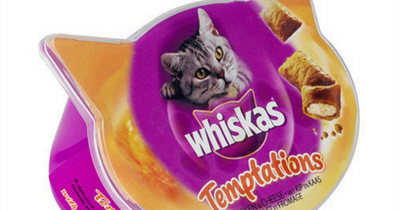Whiskas, Pedigree and Dreamies among pet foods set to disappear from Tesco shelves