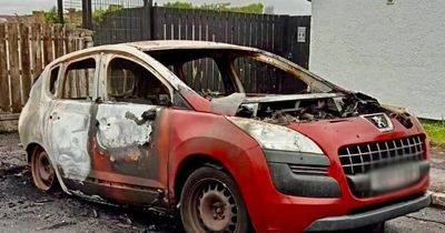 Downpatrick family left 'terrified' after car torched in 'random attack'