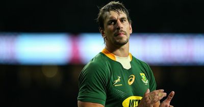 'Eben Etzebeth would be offended!' South Africa hit back at suggestion they've picked a 'B' team to play Wales