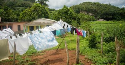 Top laundry tips to help clothes last longer - including freezing smelly clothes