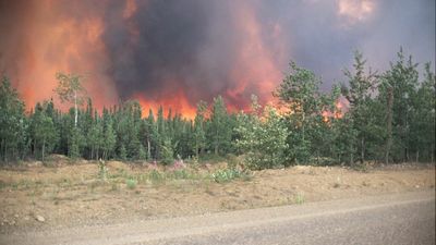 Climate change: Extreme weather events slam globe from Italy to Australia