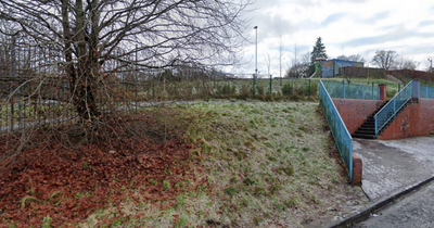 Glasgow funding approved to clear blocked Castlemilk Park pond