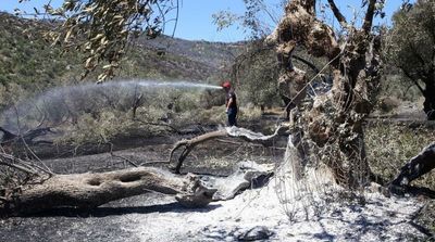 Greece: Large Forest Blaze Forces Evacuations West of Athens