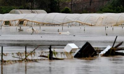 Devastated farmers say latest NSW floods likely to raise fruit and vegetable prices further