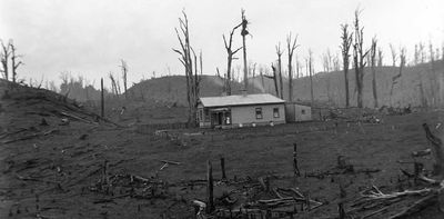 Nation-building or nature-destroying? Why it’s time NZ faced up to the environmental damage of its colonial past