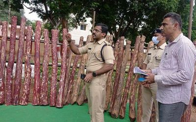 Andhra Pradesh: 55 red sanders logs seized, 7 held in Kadapa