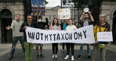 Dail protest against Irish MEPs voting to label gas and nuclear 'green' in EU taxonomy