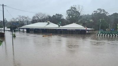 Singleton prepares for Hunter River to continue to rise, Mid North Coast on alert amid heavy rain