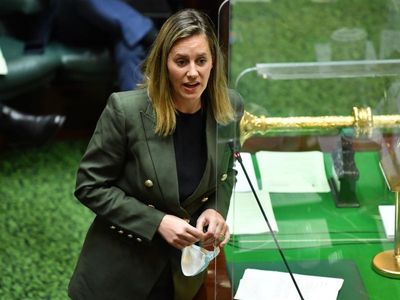 Vic Nationals deputy leader to retire