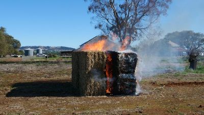 Why haystacks spontaneously combust being investigated by scientists