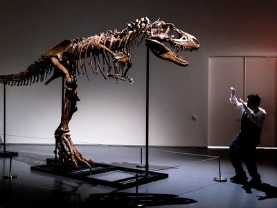 A 76 million-year-old dinosaur skeleton will be auctioned in New York City