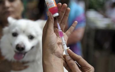 World Zoonosis Day | Indian Immunologicals launches nationwide anti-rabies vaccine drive