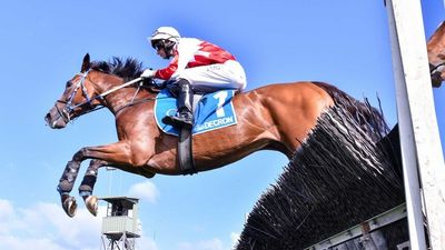 Jumps racing to be banned in South Australia with state government backing Greens bill